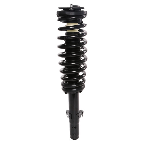 Complete Strut Assembly 816753 - front view
