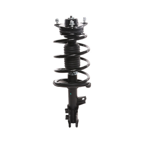 Complete Strut Assembly 818204 - front view