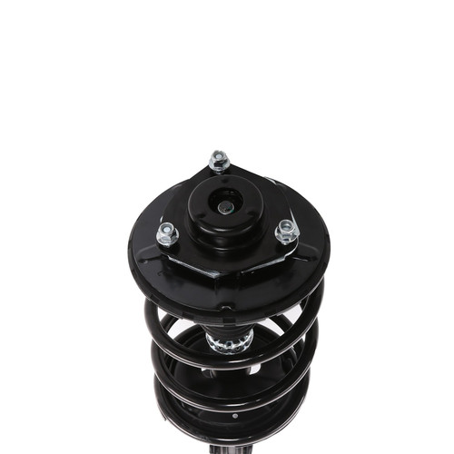 Complete Strut Assembly 818319 - bottom view