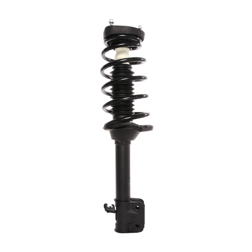 Complete Strut Assembly 817243 - top view