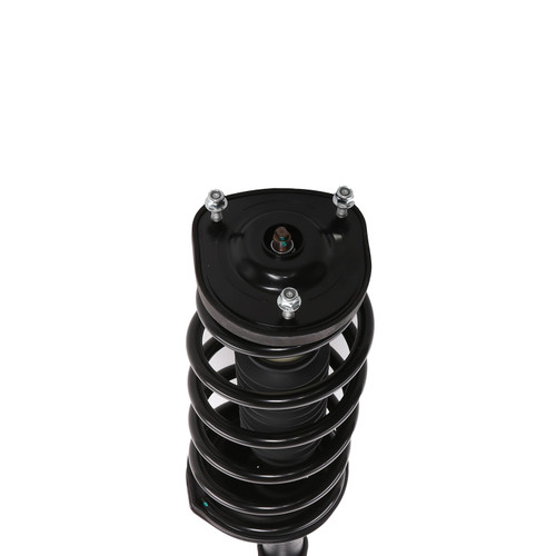 Complete Strut Assembly 817243 - bottom view