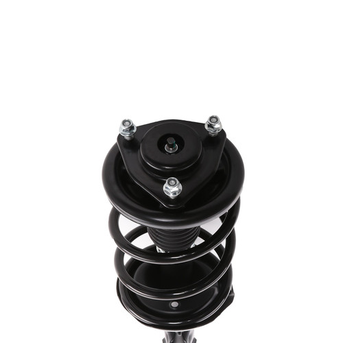 Complete Strut Assembly 818580 - bottom view