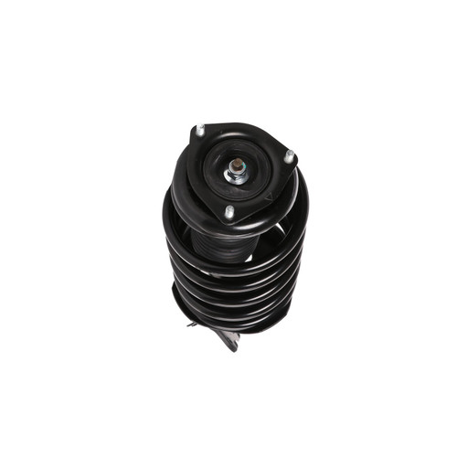 Complete Strut Assembly 817245 - bottom view