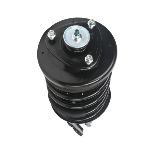Complete Strut Assembly 818305