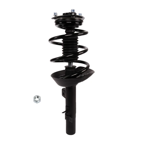 Complete Strut Assembly 818700 - front view