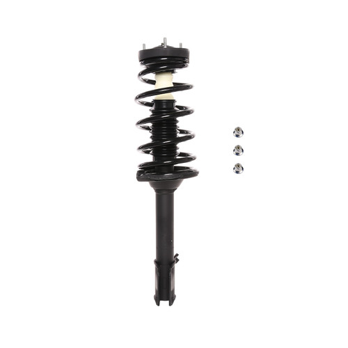Complete Strut Assembly 818194 - front view