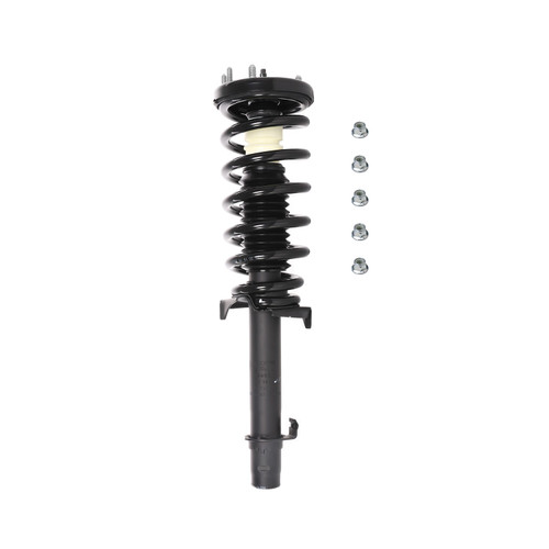 Complete Strut Assembly 819495 - front view