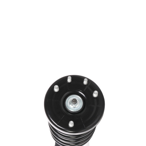 Complete Strut Assembly 819495 - bottom view