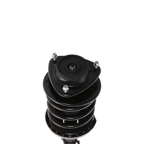 Complete Strut Assembly 818216 - bottom view