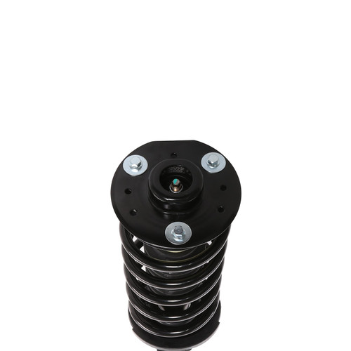 Complete Strut Assembly 818629 - bottom view