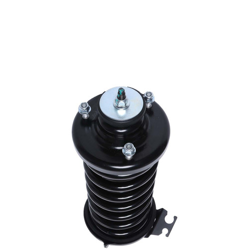 Complete Strut Assembly 818562 - bottom view