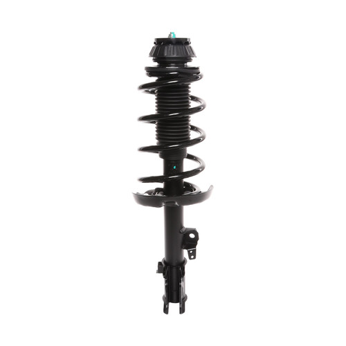 Complete Strut Assembly 818987 - front view