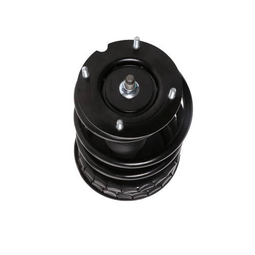 Complete Strut Assembly 818898 - bottom view