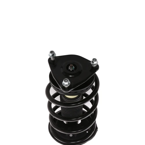 Complete Strut Assembly 819577 - bottom view