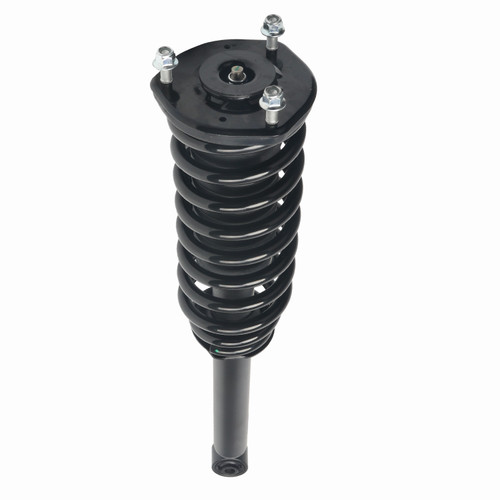 Complete Strut Assembly 920016 - front view
