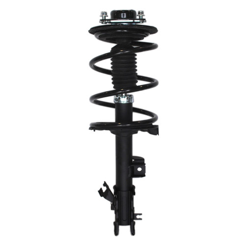Complete Strut Assembly 819634 - front view