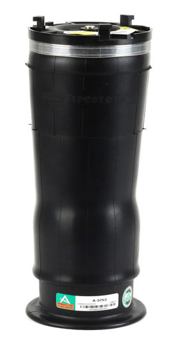Air Suspension Spring Assembly-Rear A-3753