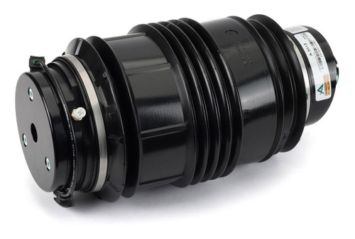 Air Suspension Spring Assembly-Rear Right A-3313