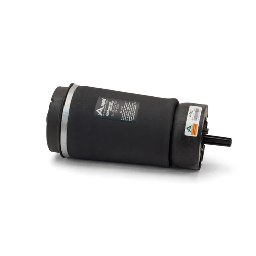 Air Suspension Spring Assembly-Rear A-2831