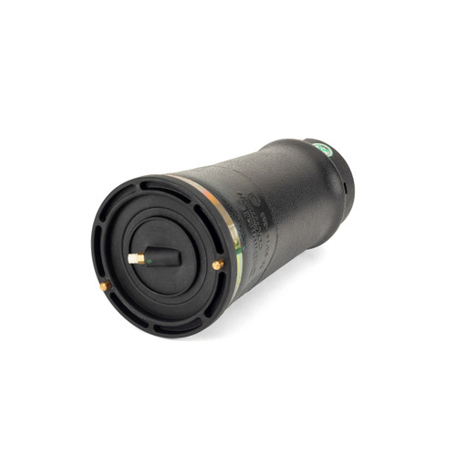 Air Suspension Spring Assembly-Rear A-2202