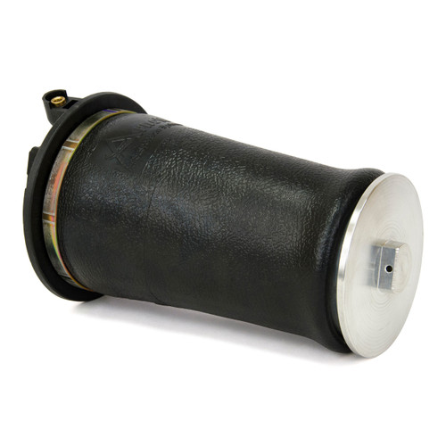 Air Suspension Spring Assembly-Rear A-2692