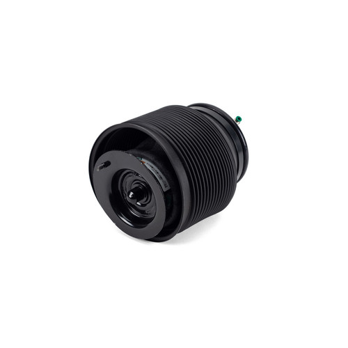 Air Suspension Spring Assembly-Rear Right A-3331