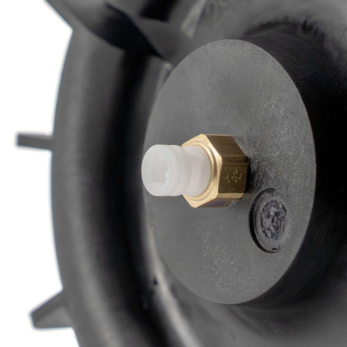 Air Suspension Spring Assembly-Rear A-5656
