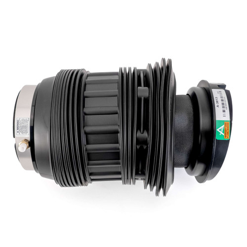 Air Suspension Spring Assembly-Rear Right A-3613
