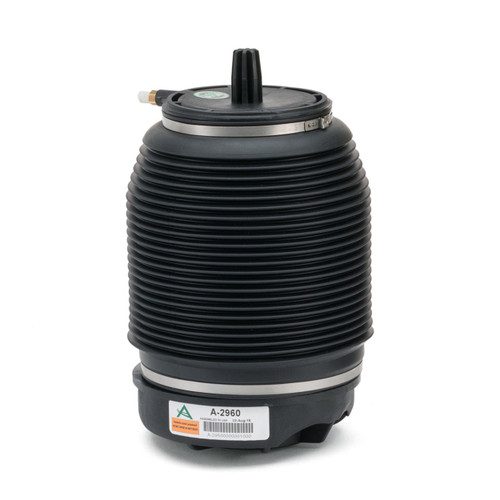 Air Suspension Spring Assembly-Rear A-2960