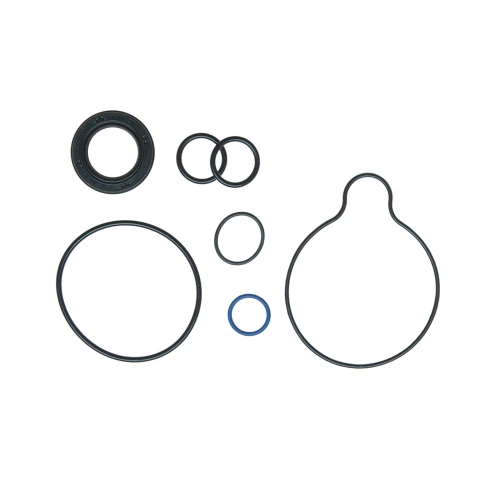 Pump Seal Kit 8930 - front view