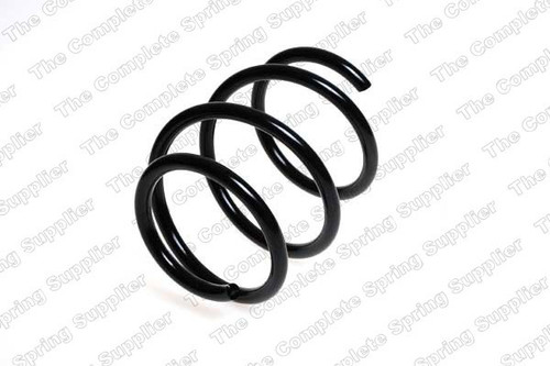 Coil Spring 4058703 - front view