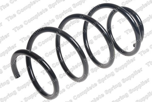 Coil Spring 4026229 - front view