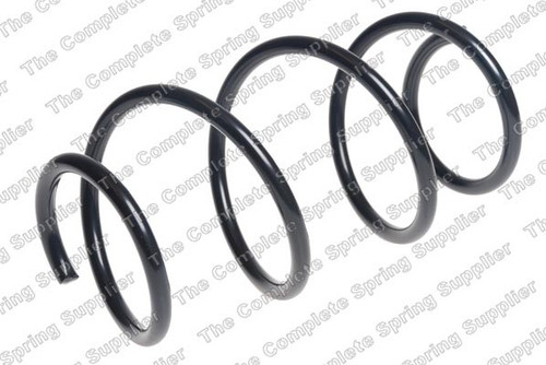 Coil Spring 4008524 - front view