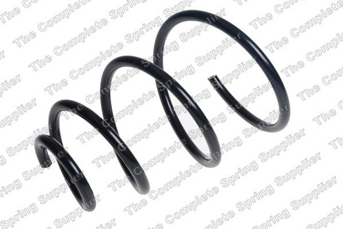 Coil Spring 4069701 - front view