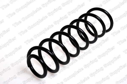 Coil Spring 4204239 - front view