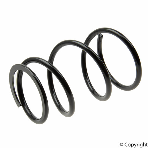 Coil Spring 4092579 - top view