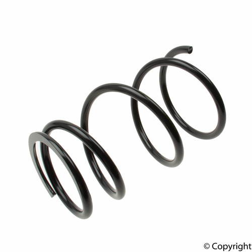 Coil Spring 4092580 - top view