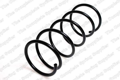 Coil Spring 4095826 - front view