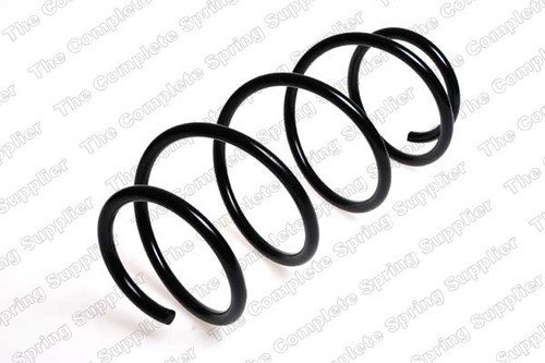 Coil Spring 4095827 - front view