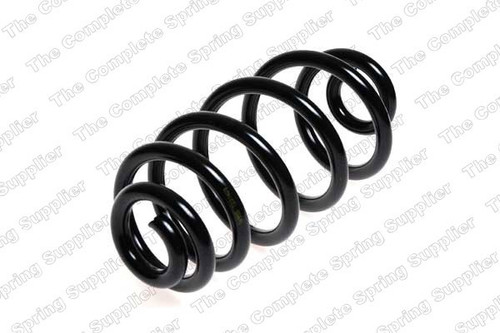 Coil Spring 4204232 - front view
