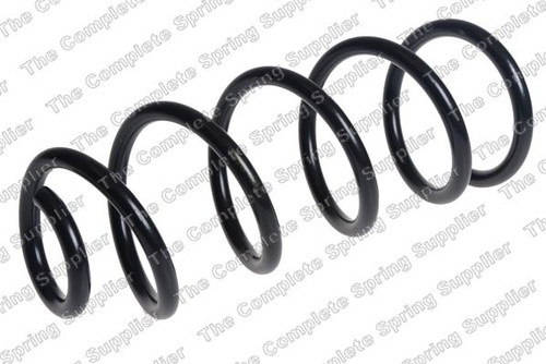 Coil Spring 4255475 - front view