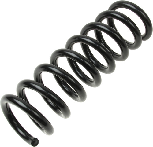 Coil Spring 4256881 - angled view