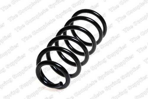 Coil Spring 4258700 - front view