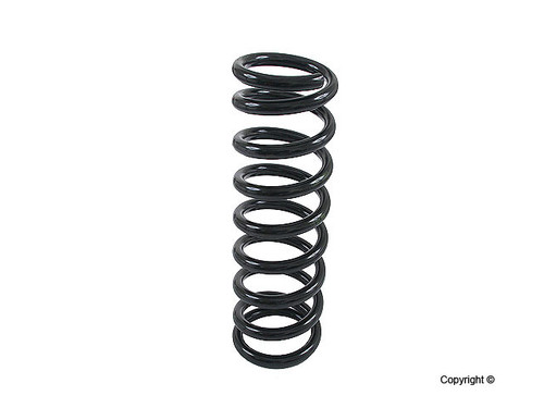 Coil Spring 4256806 - top view