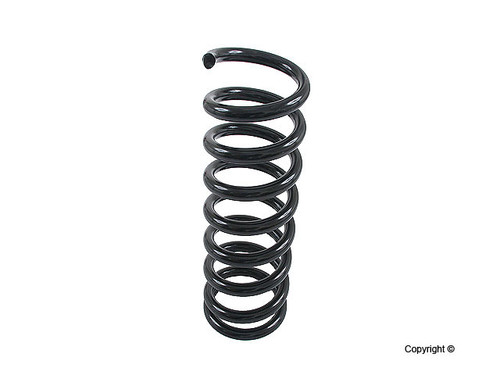 Coil Spring 4256808 - top view