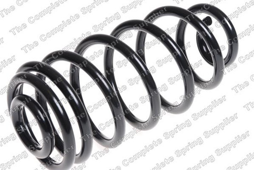 Coil Spring 4263504 - front view