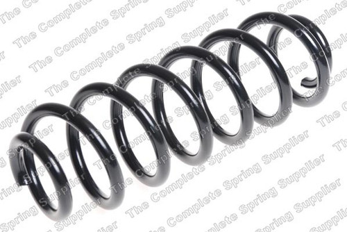 Coil Spring 4295101 - front view