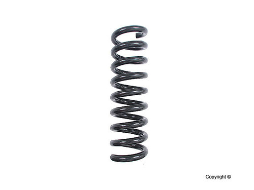 Coil Spring 4256844 - top view
