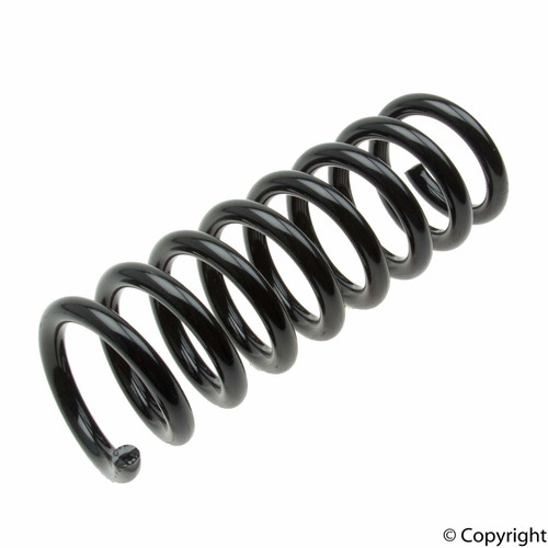 Coil Spring 4256871 - top view