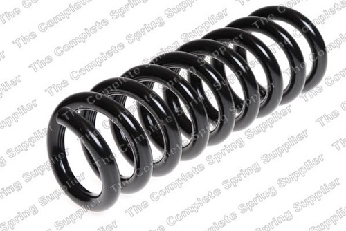 Coil Spring 4256873 - front view